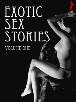 Exotic Sex Stories Volume 1
