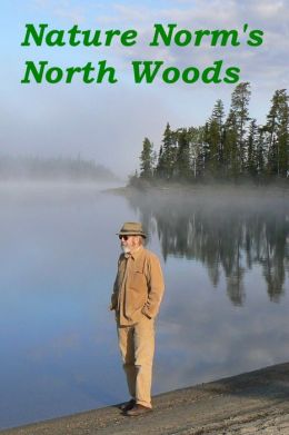 Nature Norm's North Woods