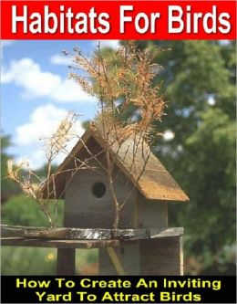 Habits For Birds