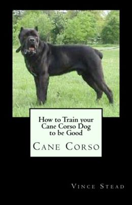 Black Russian Terrier Dog and Puppy Training and Understanding