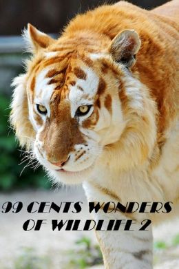 99 cent Wonders of Wildlife 2 Great for Kids and Adults Highly Recommended! animal,nature,wildlife,animals,ecology,conservation,lion,tiger,bear,mammal,elephant,leopard,cheetah,