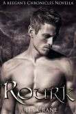 Book Cover Image. Title: Rourk, Author: Julia Crane