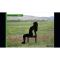 Everywhere Exercise - EvEx