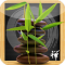 puz-ZEN-le Zen Puzzle Game Relaxation App