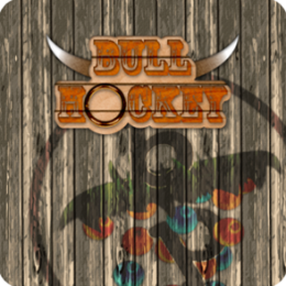 Bull Hockey