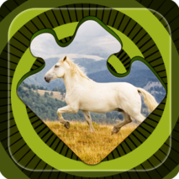 Magic Puzzles: Wild Horses