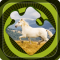 Magic Puzzles: Wild Horses