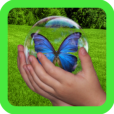 Product Image. Title: Bubble Pop Nature