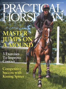 Practical Horseman