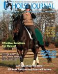 Book Cover Image. Title: Horse Journal, Author: Active Interest Media