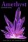 Amethyst: Book One of the Guardian Series [NOOK Book]