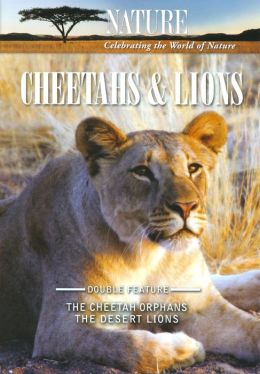 Nature: Cheetahs & Lions