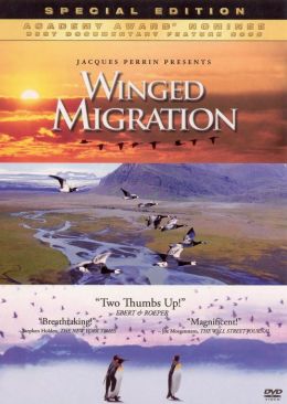 Winged Migration