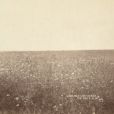 CD Cover Image. Title: The Ash & Clay, Artist: The Milk Carton Kids