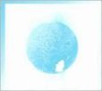 CD Cover Image. Title: Cerulean, Artist: Baths