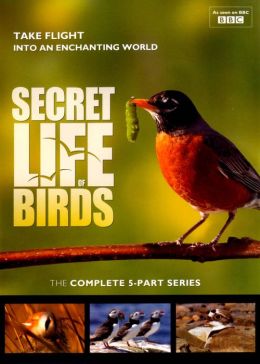 Secret Life Of Birds: 5 Part Series