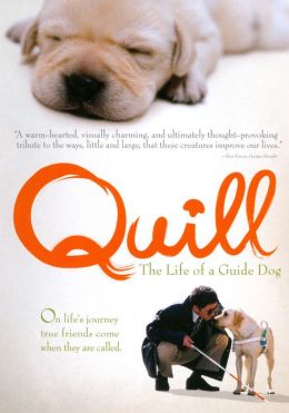 Quill: The Life of a Guide Dog