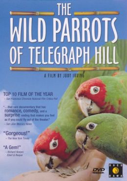 The Wild Parrots of Telegraph Hill