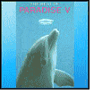 The Best of Paradise, Vol. 5