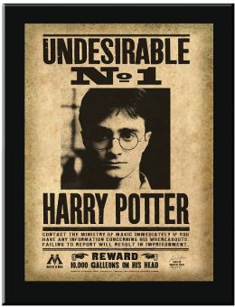 Harry Potter Undesirable No.1 Sign Wall Plaque