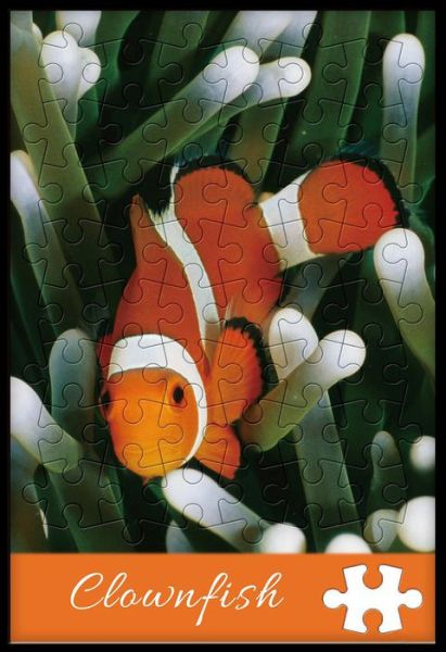Double Sided Brain Teaser 48 Pc Puzzle - Sealife