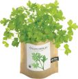 Product Image. Title: Parsley Indoor Garden in a Bag