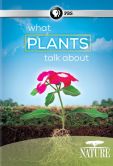 Video/DVD. Title: Nature: What Plants Talk About