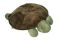 Twilight Turtle Aroma Pillow
