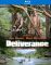 Deliverance