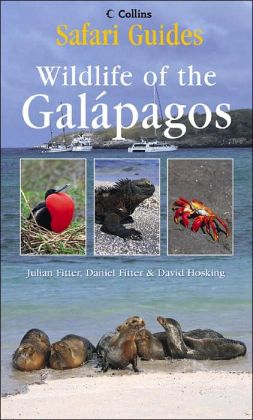 Safari Guide: Galapagos