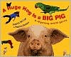 Huge Hog Is a Big Pig: A Rhyming Word Game