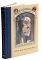 The Bad Beginning: Book the First (A Series of Unfortunate Events)