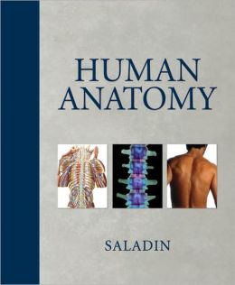 Human Anatomy Kenneth S. Saladin