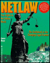 NetLaw: Your Rights on the Online World