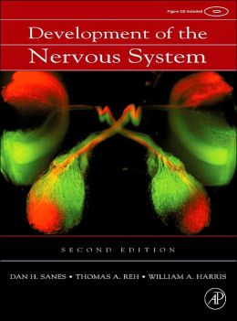 Development of the Nervous System