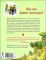 Johnny Appleseed: Story of a Legend