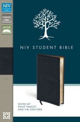 What Is Wrong With The Niv Translation Of The Bible