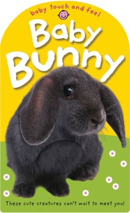 Baby Bunny (Baby Touch and Feel Series)