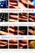 A Different Mirror: A History of Multicultural America