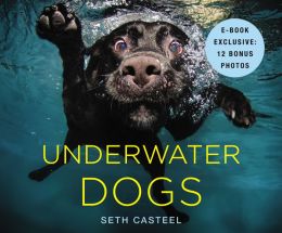 Underwater Dogs (PagePerfect NOOK Book)