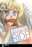 Book Cover Image. Title: Maximum Ride:  The Manga, Volume 6, Author: James Patterson