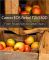 Canon EOS Rebel T2i / 550D: From Snapshots to Great Shots