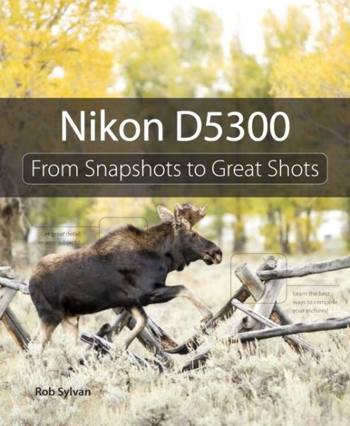 Online pdf books download free Nikon D5300: From Snapshots to Great Shots 9780321987501 in English by Rob Sylvan 