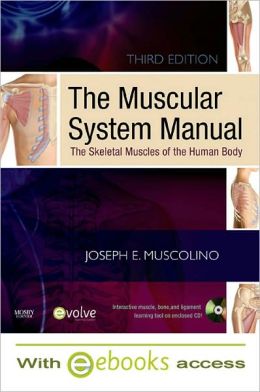 The Muscular System Manual - Text and E-Book Package: The Skeletal Muscles of the Human Body