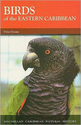 Birds of the Eastern Caribbean