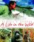 Life in the Wild: George Schaller's Struggle to Save the Last Great Beasts