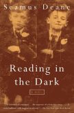 Reading in the Dark: A Novel
