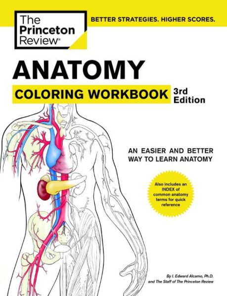 Top free ebook download Anatomy Coloring Workbook, 3rd Edition 9780375762895