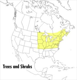 A Field Guide to Trees and Shrubs: Northeastern and north-central United States and southeastern and south-centralCanada
