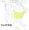 A Field Guide to Trees and Shrubs: Northeastern and north-central United States and southeastern and south-centralCanada